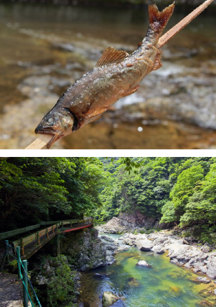 圖片：串魚